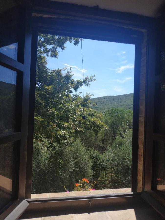 Agriturismo La Provenca Chianciano Terme Bagian luar foto