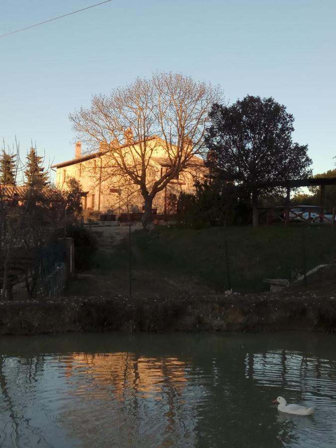 Agriturismo La Provenca Chianciano Terme Bagian luar foto