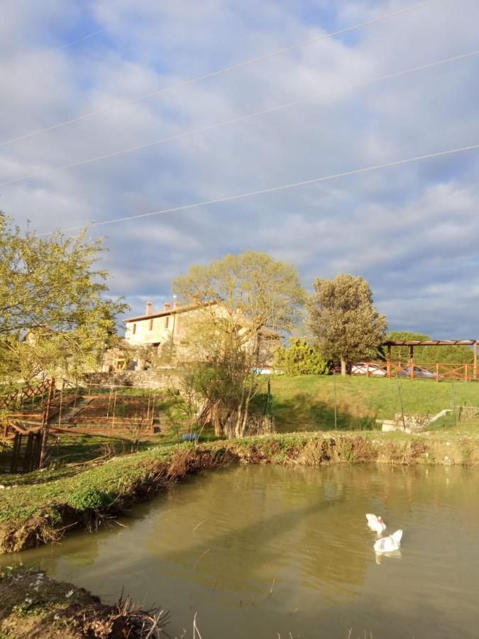 Agriturismo La Provenca Chianciano Terme Bagian luar foto