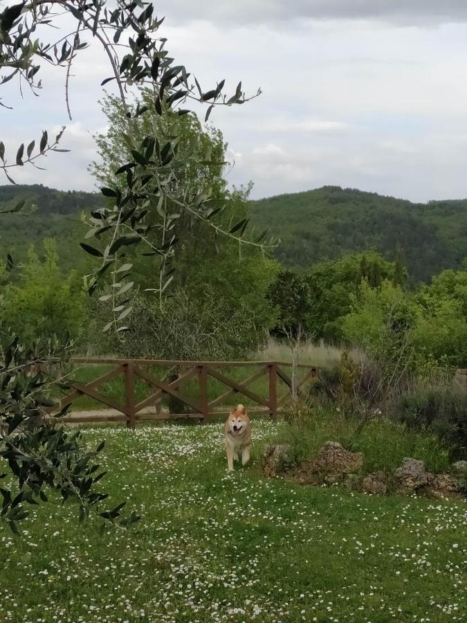 Agriturismo La Provenca Chianciano Terme Bagian luar foto