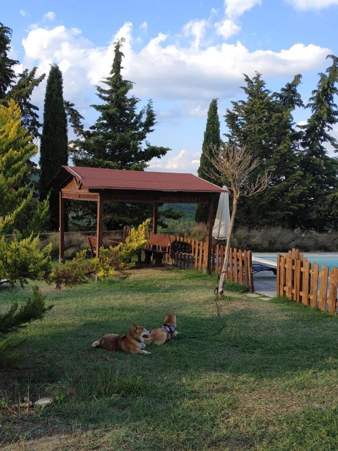 Agriturismo La Provenca Chianciano Terme Bagian luar foto