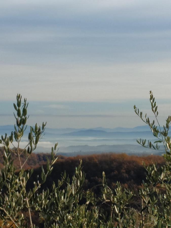 Agriturismo La Provenca Chianciano Terme Bagian luar foto