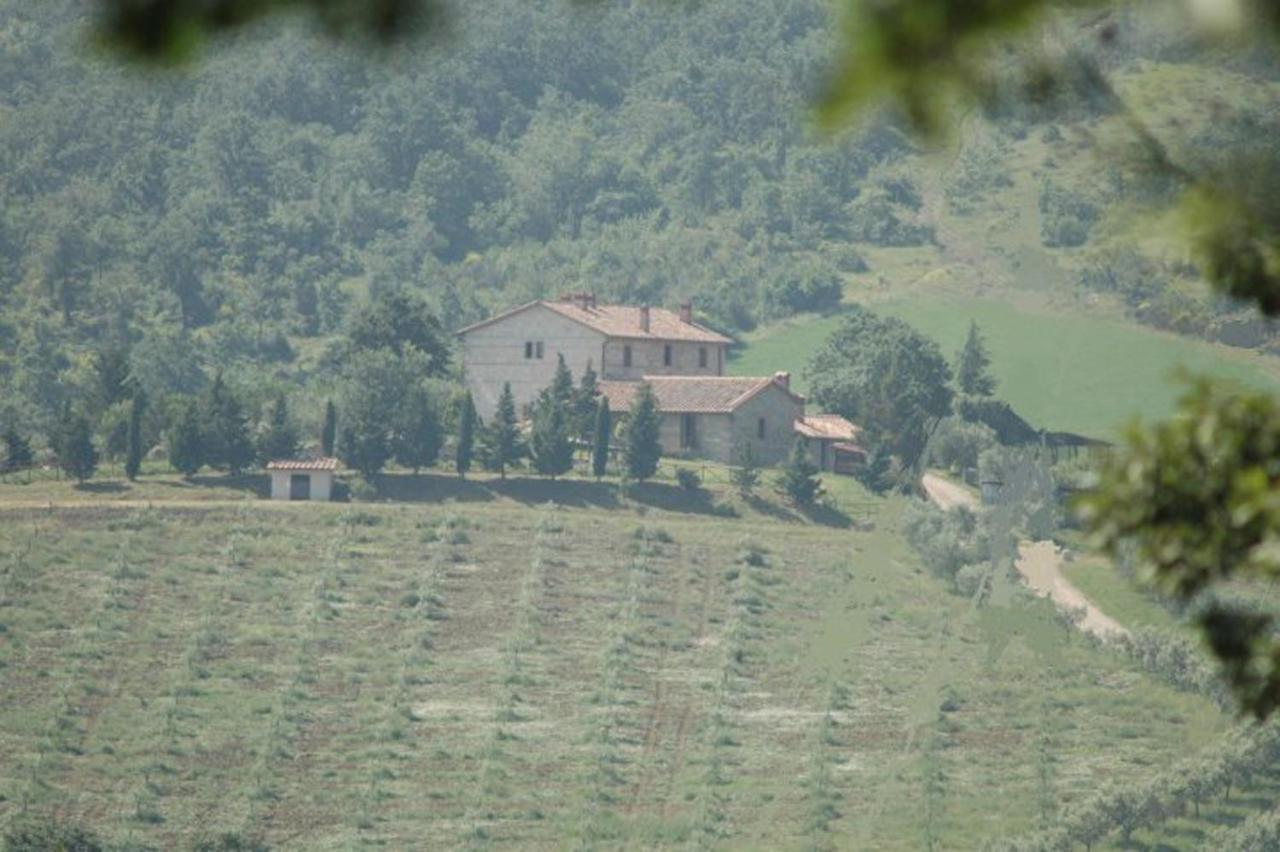 Agriturismo La Provenca Chianciano Terme Bagian luar foto